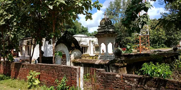 District Katni India October 2019 Old Building Growing Plant View — Stock Photo, Image