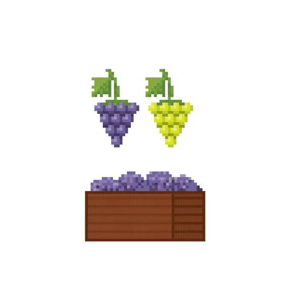 Un bouquet de raisins et une boîte de raisins.. Pixel art. Ordinateur graphique de la vieille école. Stickers design élément, logo, application mobile, menu. Jeu vidéo 8 bits. Actifs du jeu sprite 8 bits. 16 bits . — Image vectorielle