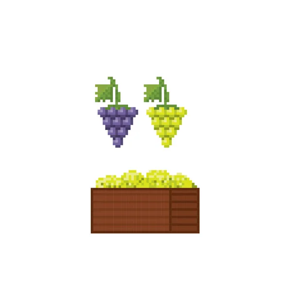 Un racimo de uvas y una caja de uvas.. Pixel art. Gráfico de computadora de la vieja escuela. Pegatinas de diseño de elementos, logotipo, aplicación móvil, menú. Videojuego de 8 bits. Activos del juego sprite de 8 bits. 16 bits . — Archivo Imágenes Vectoriales