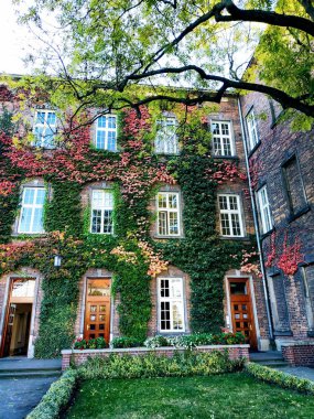 Wawel Şatosunda Sonbahar