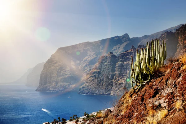Dağlar ve bitki örtüsü ile plaj ve sahil güzel manzara. Etkileyici sahne, devlerin kayalıkları. Tenerife, Kanarya Adaları, İspanya