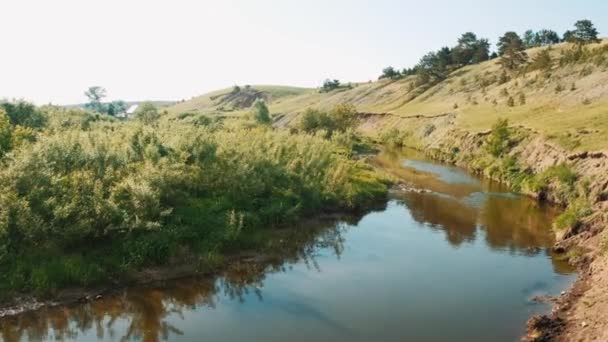 Grün Der Nähe Des Flusses Wasserbewegung Fluss — Stockvideo