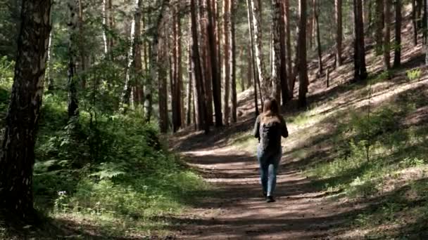 Caminhante Com Uma Mochila Caminha Pela Floresta — Vídeo de Stock