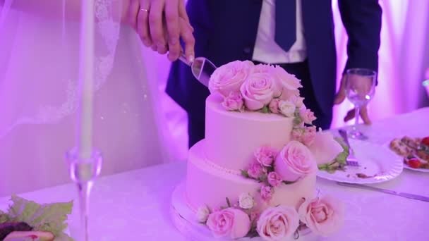 ケーキを切りなさい 花嫁と新郎は花でケーキをカット — ストック動画