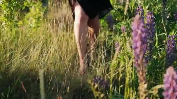 Die Beine Der Frauen Liegen Gras Mädchen Spaziert Der Natur — Stockvideo