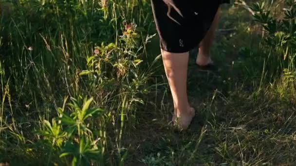 Die Beine Der Frauen Liegen Gras Mädchen Spaziert Der Natur — Stockvideo