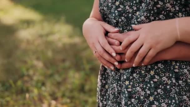 Mãos Femininas Golpeam Mãos Masculinas Que Abraçam — Vídeo de Stock