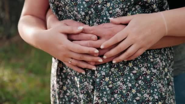 Mãos Femininas Golpeam Mãos Masculinas Que Abraçam — Vídeo de Stock