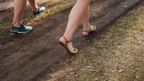 草の上を歩く男と女の足 — ストック動画