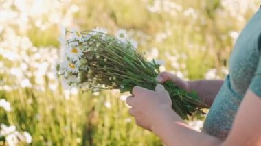 Bir adamın ellerinde papatya buketi