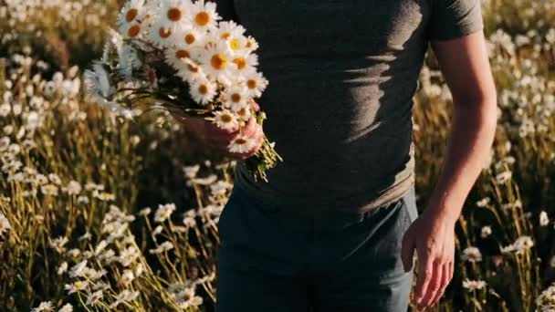 Bouquet Marguerites Entre Les Mains Homme — Video