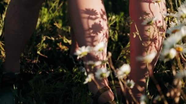 Ombre Des Fleurs Sur Jambe Des Filles — Video