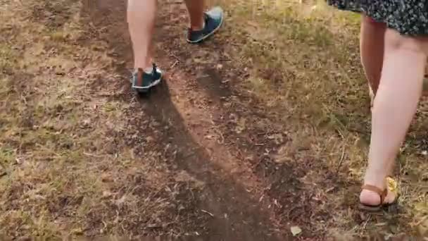 Pés Homem Uma Mulher Andando Grama — Vídeo de Stock