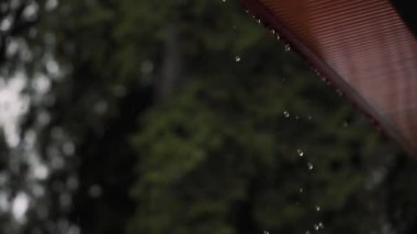 Bulutlu ve kasvetli bir günde yağmur damlaları