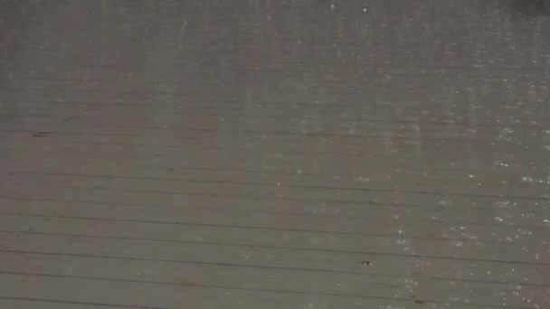 Σταγόνες Βροχής Μια Συννεφιασμένη Γκρίζα Ζοφερή Μέρα — Αρχείο Βίντεο
