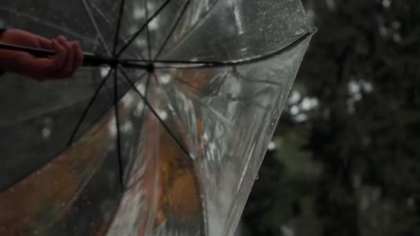 Зонтик Закрывается После Дождя Человек Зонтиком Закрывает Руки После Дождя — стоковое видео