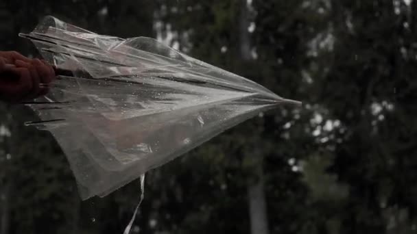 雨伞雨后紧闭 雨后雨伞人合上双手 — 图库视频影像