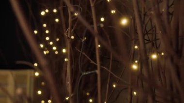 Çelenkle süslenmiş kuru dallar.