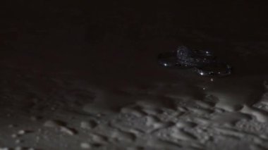 Alyanslar masanın üzerinde su yansıması içinde.