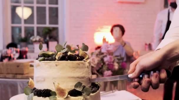 Jeunes Mariés Mariage Couper Gâteau Mariage Avec Couteau — Video