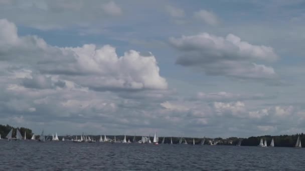Mediterannean Denizinde Yelkenli Yarışı Gündoğumu Mutlu Heyecanlı Insanlar Yelkenli Yatta — Stok video