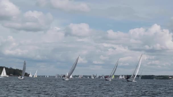 Régate Course Voile Mer Méditeranéenne Lever Soleil Personnes Heureuses Excitées — Video