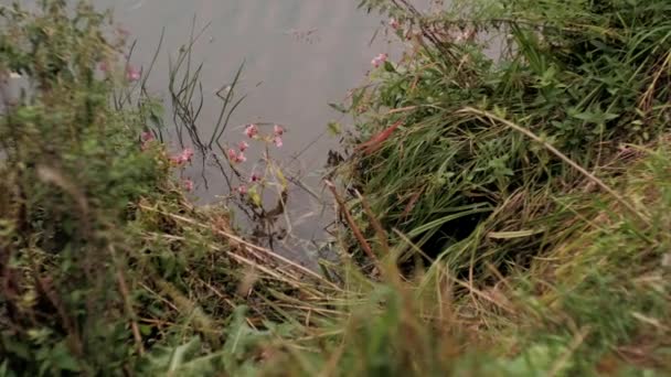 Fluss Der Nähe Der Berge Bei Grüner Bewölkung — Stockvideo