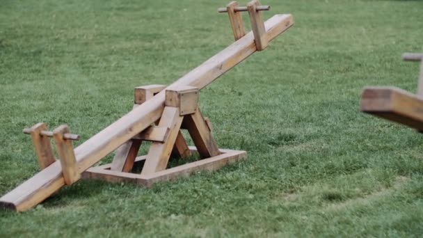 緑の草を背景に子供のための木製のスイング — ストック動画