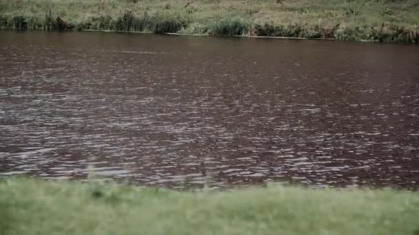 Rio Perto Das Montanhas Tempo Nublado Verde — Vídeo de Stock