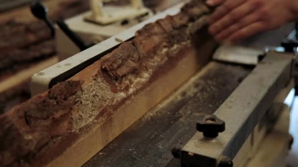 Tischler Der Werkstatt Der Mensch Arbeitet Mit Holzwerkstoffen Tischler Der — Stockvideo