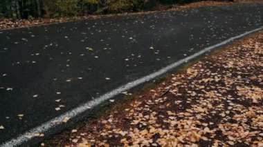 Kayaklar sonbahar günü yarışır.