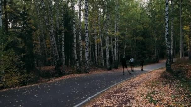 秋の日に行われるローラースキー — ストック動画
