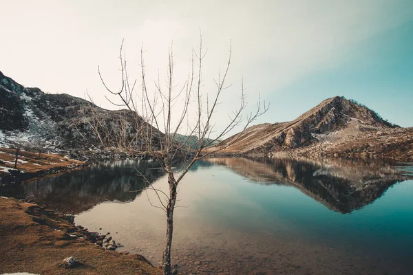 Some mountains reflecting in the lake during a bright and snowed day in asturias