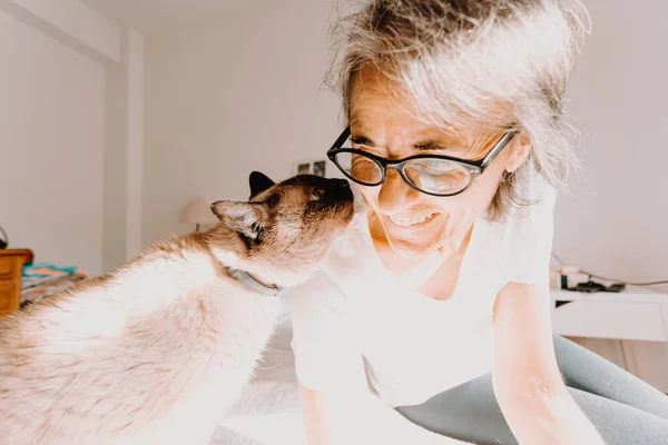 An old woman with glasses smiling and kissing his cat on his bedroom during a super bright day