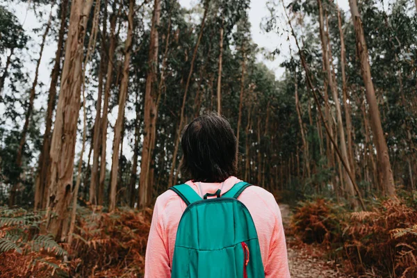 A close up of the back of a woman in front of an old massive forest with a backpack and sport clothes
