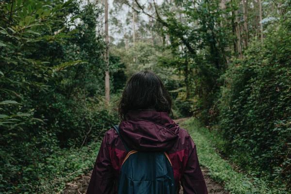 A woman back in trekking clothes in the middle of a super green rainy forest during autumn