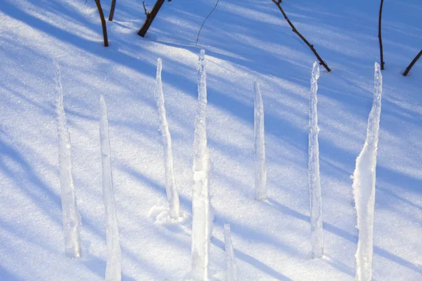 Snow Icicles Winter Nature — Stock Photo, Image