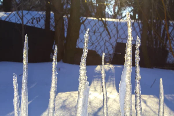 Schnee Eiszapfen Winter Natur — Stockfoto