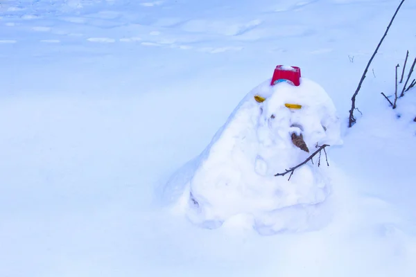 Mutlu Kardan Adam Soğuk Kış — Stok fotoğraf