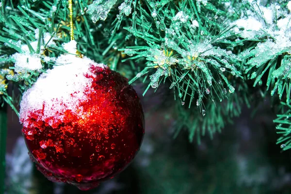 Christmas Tree Toy Decoration Snow — Stock Photo, Image