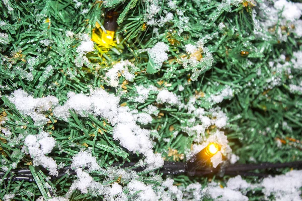 Гирлянда Рождественская Ёлка Лёгкий Снег — стоковое фото