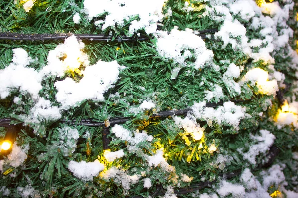 Slinger Kerstboom Lichte Sneeuw — Stockfoto