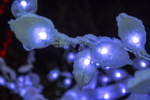 Lumières Décoration Arbre Noël — Photo