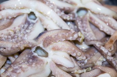 mürekkep balığı ahtapot tentacles deniz ürünleri