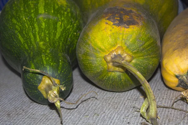 Légumes Jardin Courgettes Citrouille — Photo