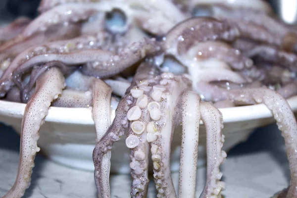squid octopus tentacles seafood