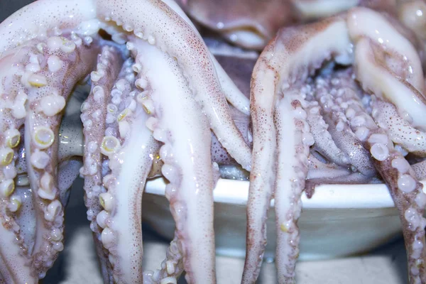 Squid Octopus Tentakler Skaldjur — Stockfoto