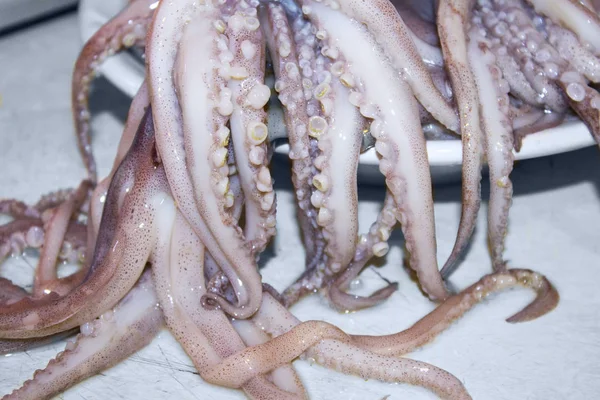 Squid Octopus Tentakels Zeevruchten — Stockfoto