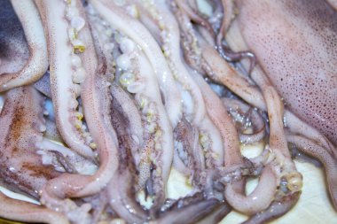 mürekkep balığı ahtapot tentacles deniz ürünleri