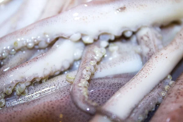 Seiche Pieuvre Tentacules Fruits Mer — Photo
